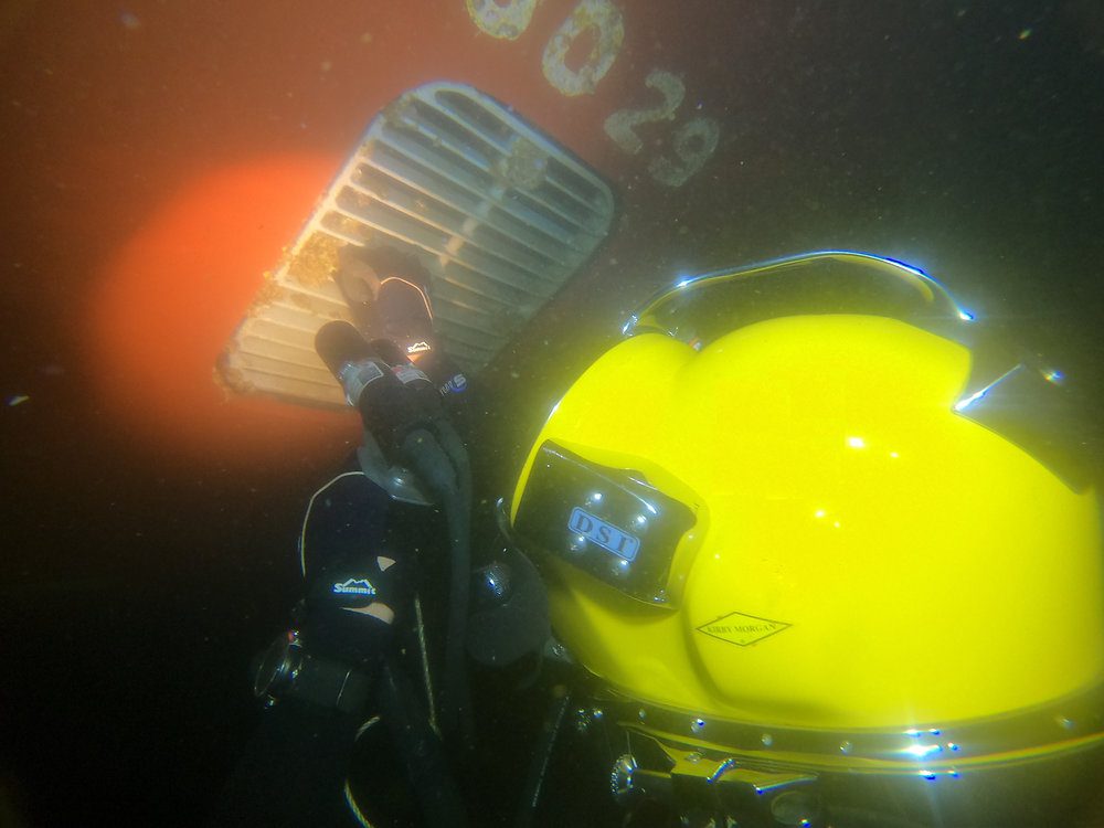 GIA for Marine Biosafety continues to expand