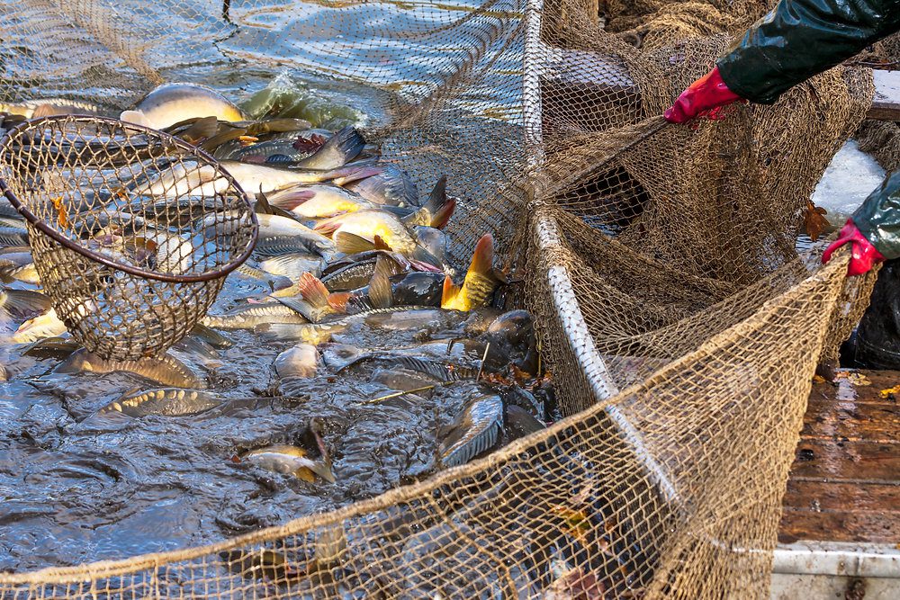 Aquaculture: Cross-sectoral cooperation to drive improved biofouling management