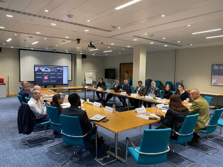 The IMO Global Industry Alliance (GIA) for Marine Biosafety: A model for UN–industry collaboration in ocean governance